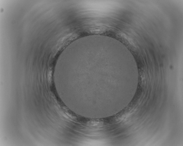 X0000088430745200705221247