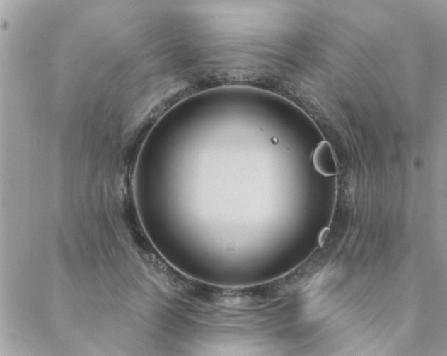 X0000088430746200705221247