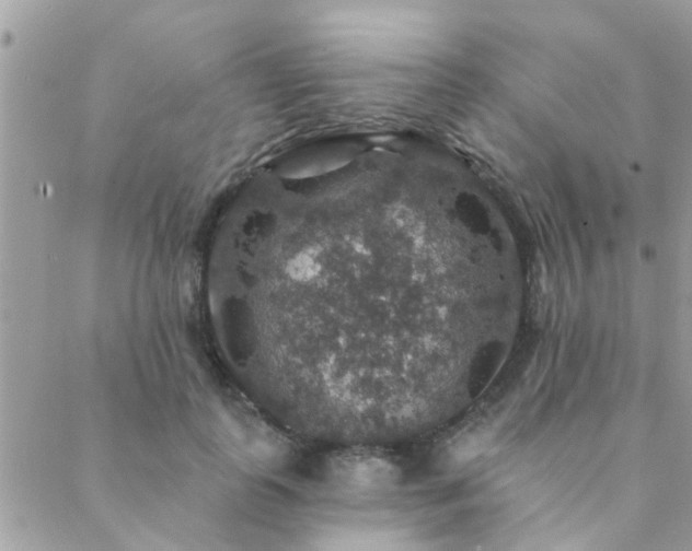 X0000088430747200705221247