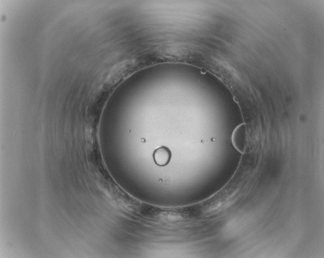 X0000088430749200705221247