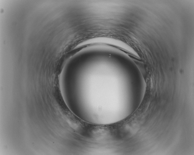 X0000088430750200705221247