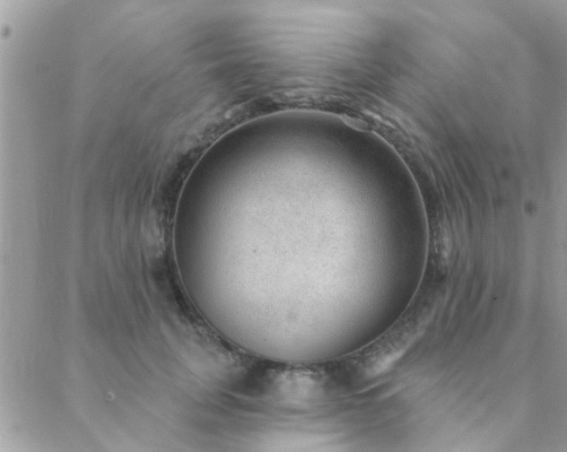 X0000088430751200705221247