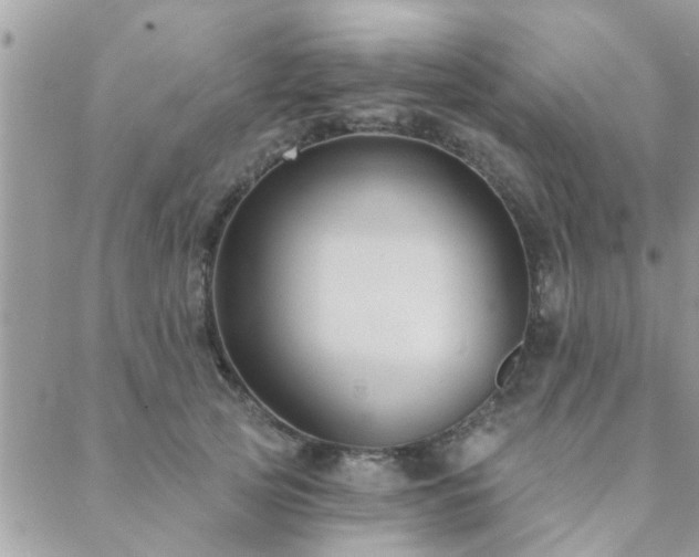 X0000088430753200705221247