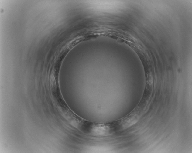 X0000088430754200705221247