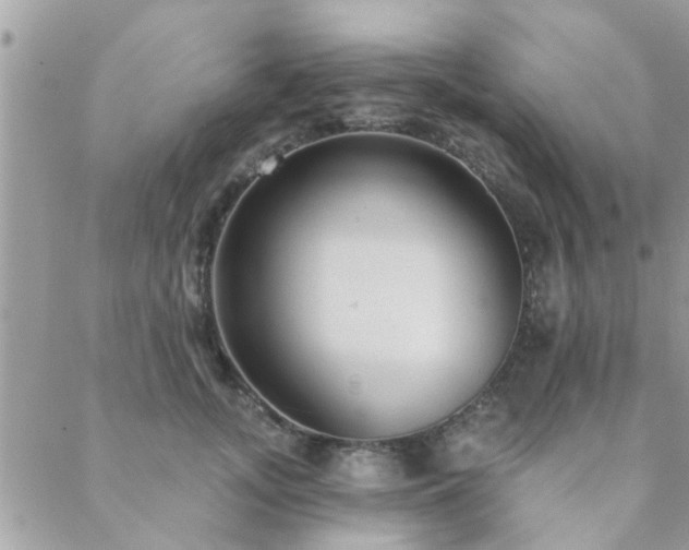 X0000088430755200705221247