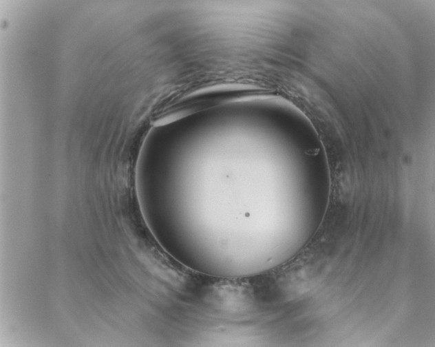 X0000088430756200705221247