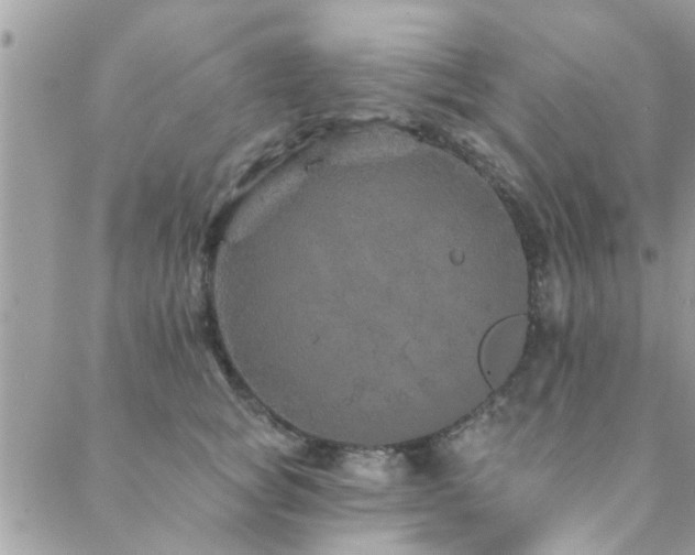 X0000088430757200705221247