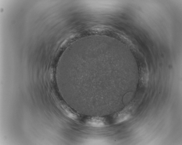 X0000088430758200705221247