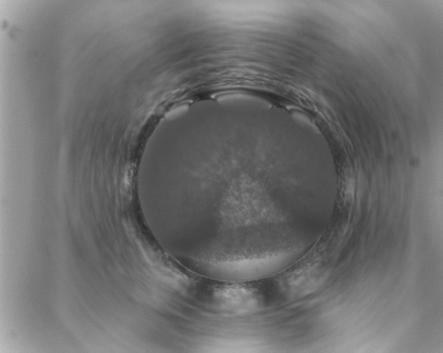 X0000088430759200705221247