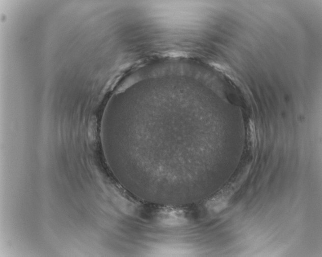 X0000088430760200705221247