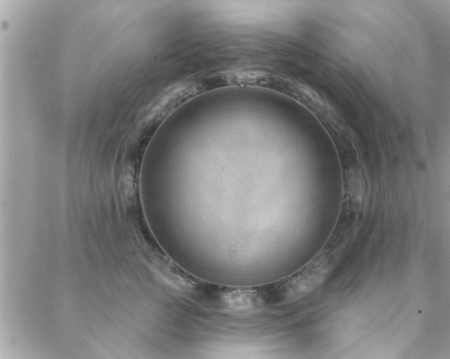 X0000088430761200705221247