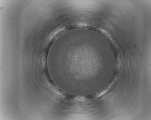 X0000088430762200705221247