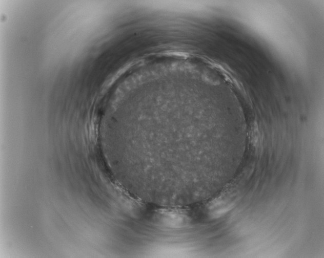 X0000088430763200705221247