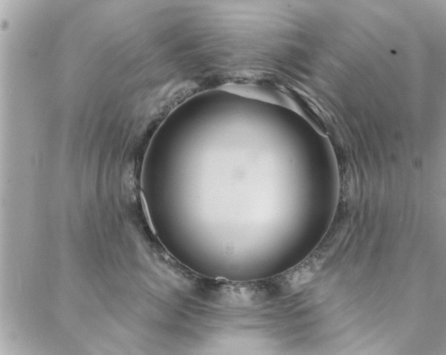 X0000088430764200705221247