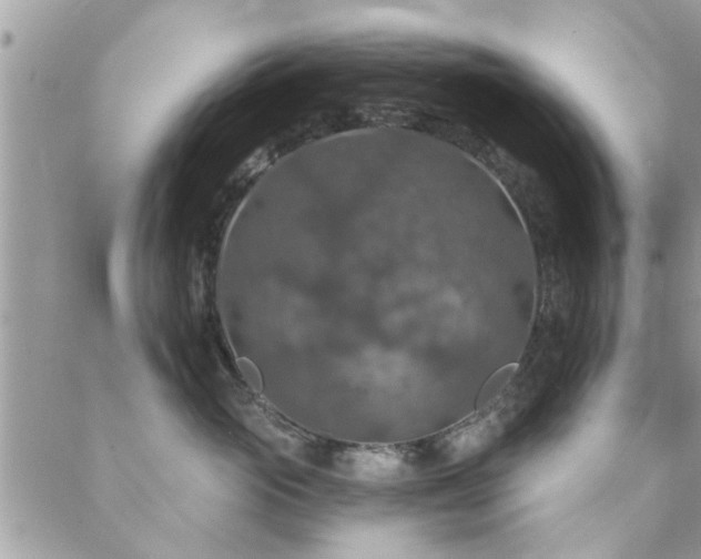 X0000088430765200705221247