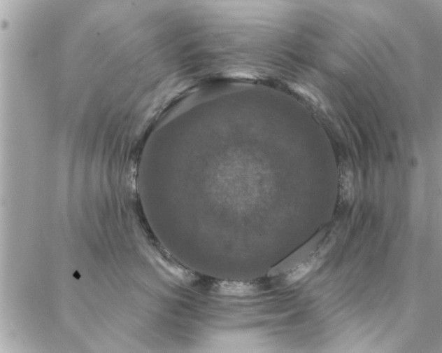 X0000088430766200705221247