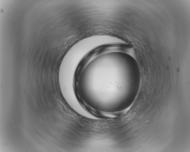 X0000088430768200705221247