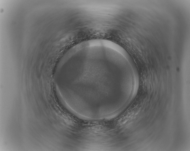 X0000088430769200705221246