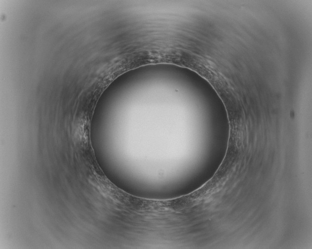 X0000088430770200705221246