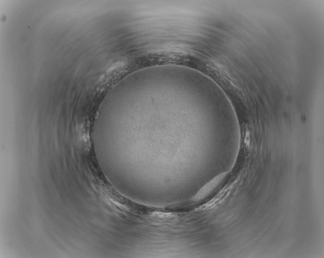 X0000088430771200705221246