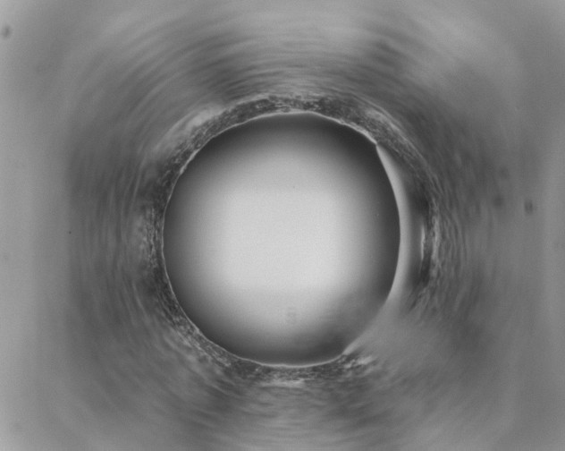 X0000088430773200705221246