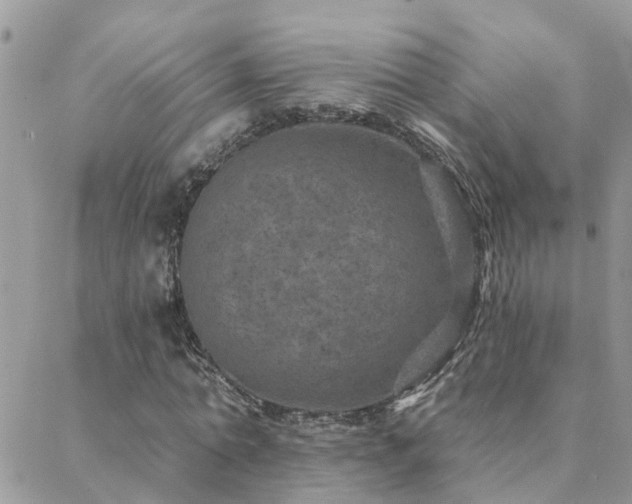 X0000088430774200705221246