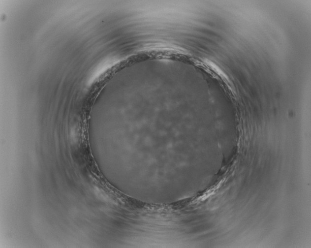 X0000088430775200705221246