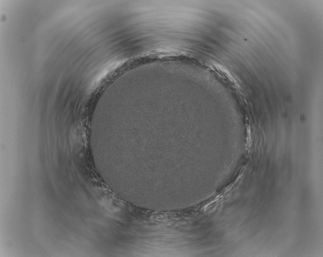 X0000088430776200705221246