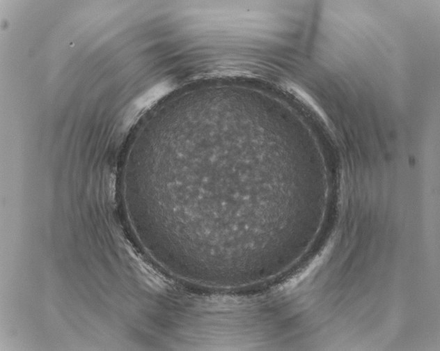 X0000088430777200705221246