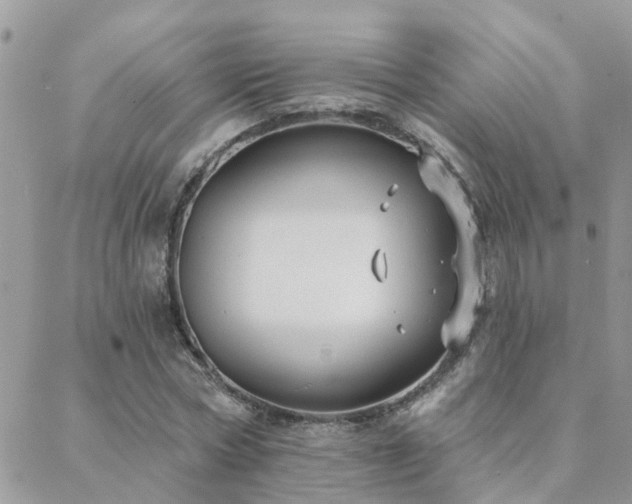 X0000088430778200705221246