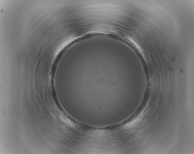 X0000088430779200705221246