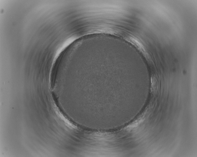 X0000088430780200705221246