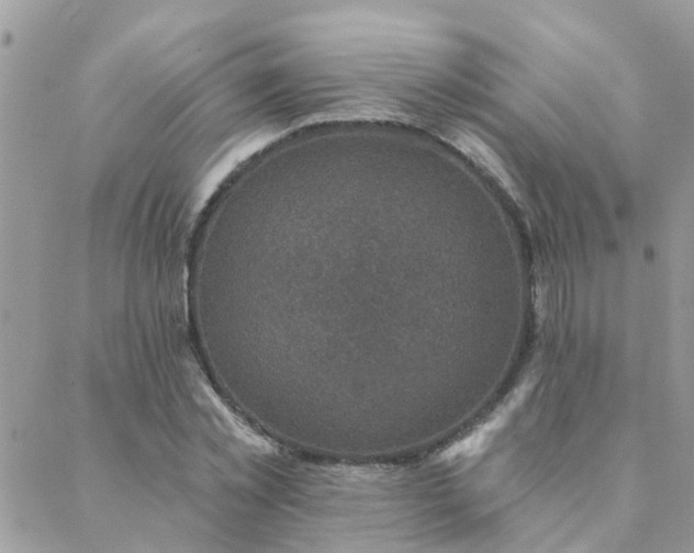 X0000088430781200705221246