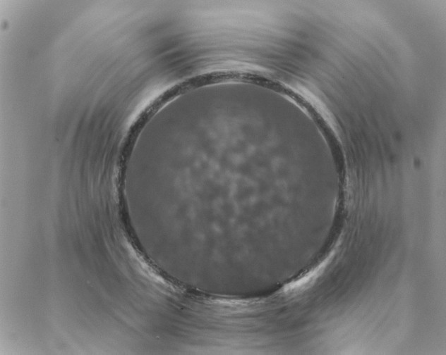 X0000088430783200705221246