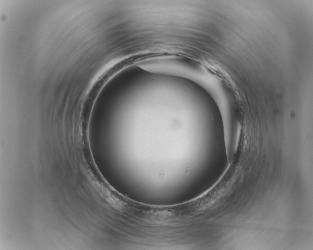 X0000088430784200705221246