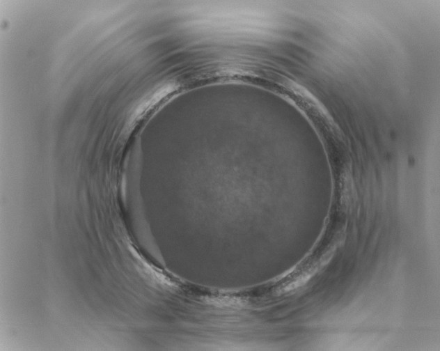 X0000088430785200705221246