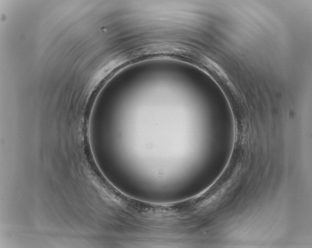 X0000088430786200705221246