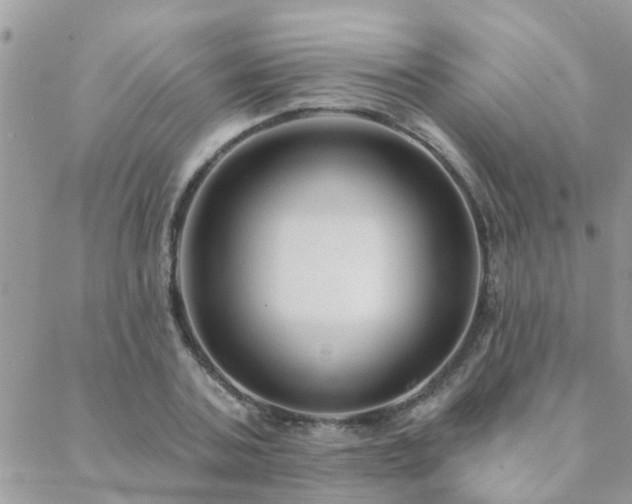 X0000088430787200705221246