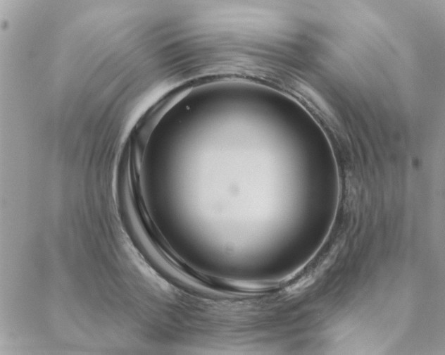 X0000088430788200705221246