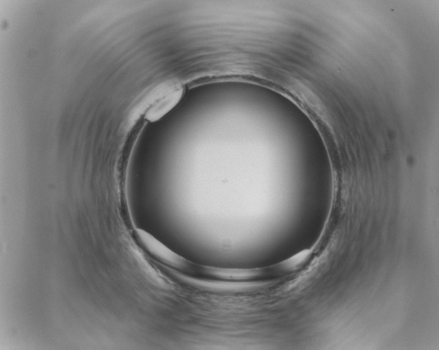 X0000088430789200705221246