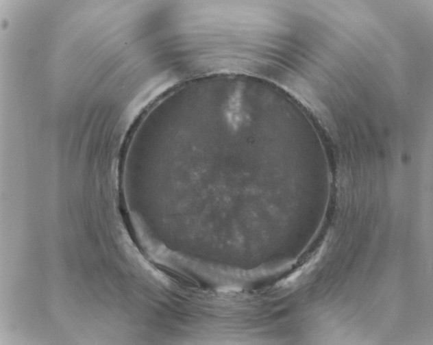 X0000088430790200705221246