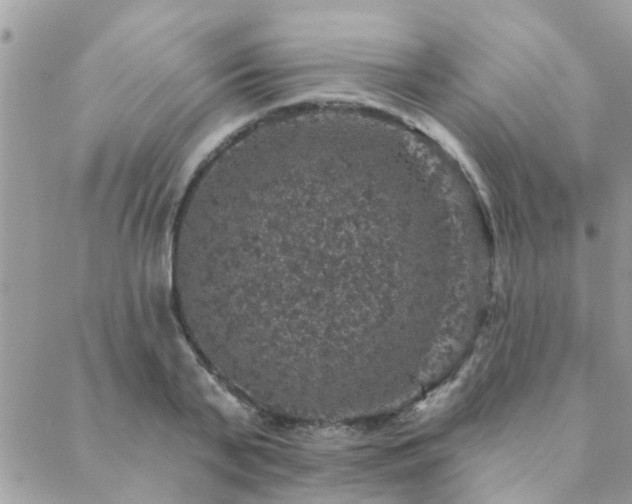 X0000088430791200705221246