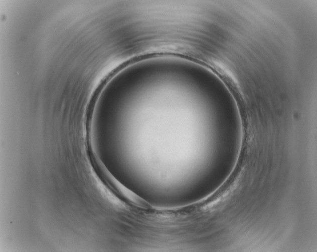 X0000088430792200705221246