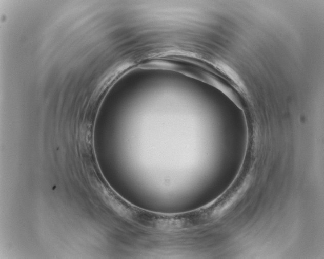 X0000088430793200705221246