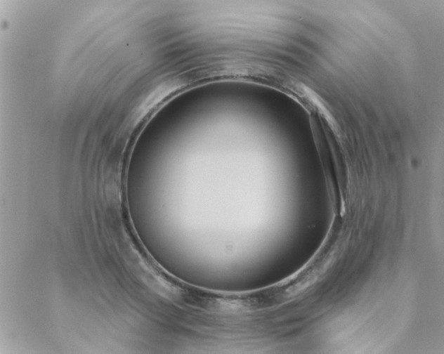 X0000088430794200705221246