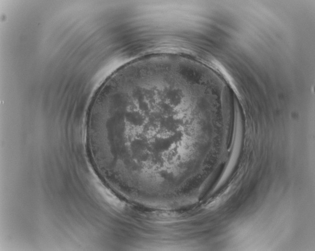 X0000088430795200705221246