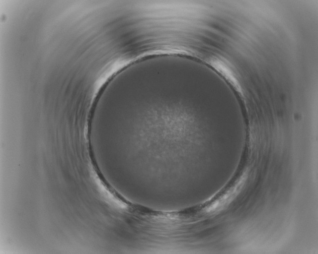 X0000088430797200705221246