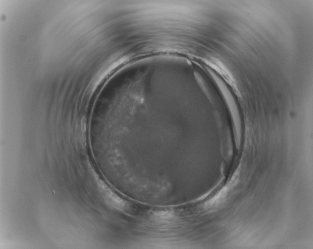 X0000088430798200705221246