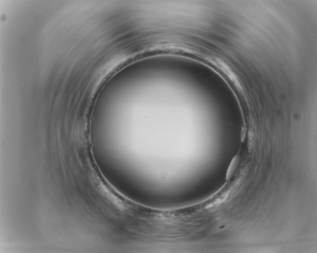 X0000088430799200705221246