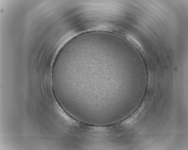 X0000088430800200705221246